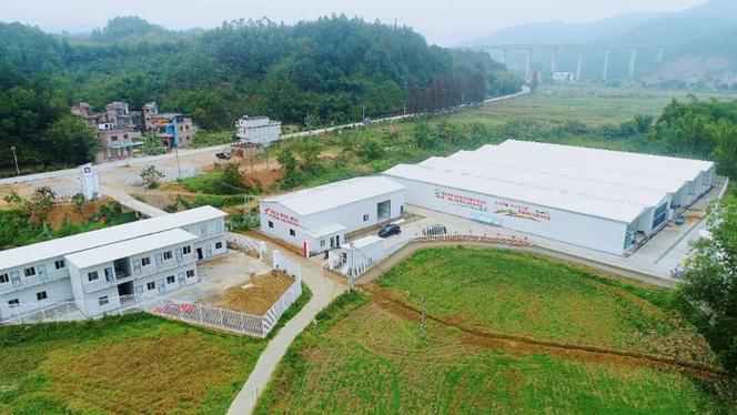 加工端向高附加值延伸,农产品深加工流通集聚产业园正加快建设,一期